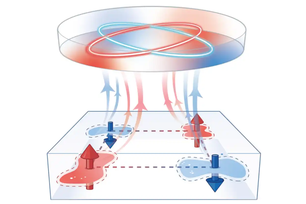 Water transport study cover