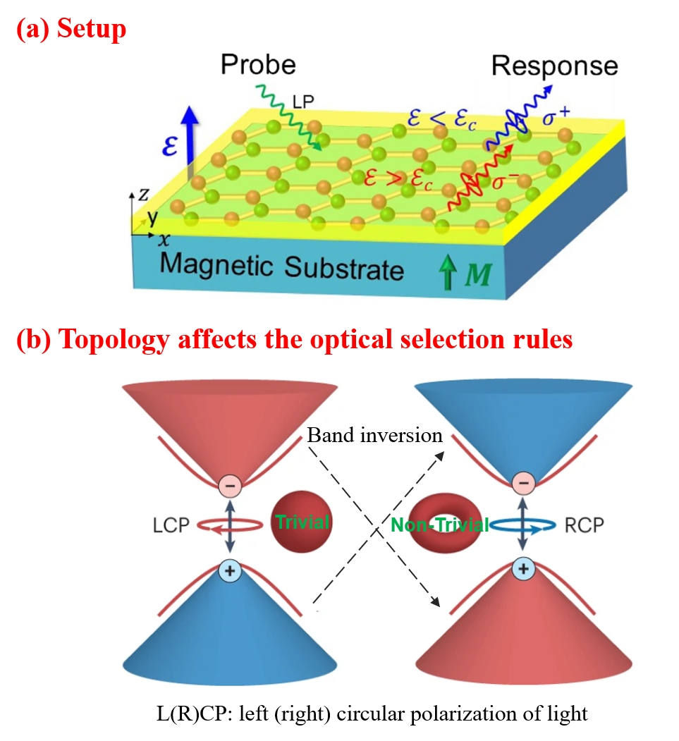 Topological Response